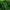 Green, variant on Kedxroy Toddler/Little Kid Boys Girls Shoes Running/Walking Sports Sneakers(Red,13-13.5 Years)