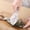 White, variant on Peeler Machine for Fish Skin and Scale Removal Manual Fish Scale Cleaner with Lid Household Kitchen Tool for Efficient Fish Preparation and Deboning