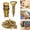 10PCS, variant on 10/20/30/40/50/60/100PCS Short Expansion Screw Set(Pipe + Nail) for Cabinet Hinge Repair & Stripped Thread Restoration, Secure Cabinet Door Fastening(10PCS)
