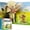 Wild animals, variant on QENASHAING Interactive Lift-the-Flap Children's Book, 20 Scene Pages with Audio Stories, Animal Encyclopedia for Early Learning