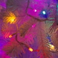 thumbnail image 3 of Serie de Luces La Merced Decorativa Luz Led Multicolor 100 Focos Tipo Microfóno 8 Funciones Cable Blanco 5 m, 3 of 4