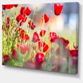 thumbnail image 2 of Belle Vue de Fleurs de Coquelicot Rouge - Impression sur Toile Florale, 2 of 3
