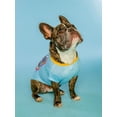 thumbnail image 6 of Doggy Parton, Dog Clothes, Dolly & The Band Dog T-Shirt, Blue, L, 6 of 8