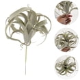 thumbnail image 5 of Raindrops Artificial Pineapple Grass Tillandsia Bromeliads Air Plants Succulants Greenery, 5 of 5