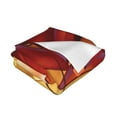 thumbnail image 3 of The Lion King Fleece Blanket Super Soft Cozy Throw Blanket Fuzzy Comfy Flannel Blanket Warm Plush Blankets And Throws For Couch, Sofa, Bed 80"X60", 3 of 7