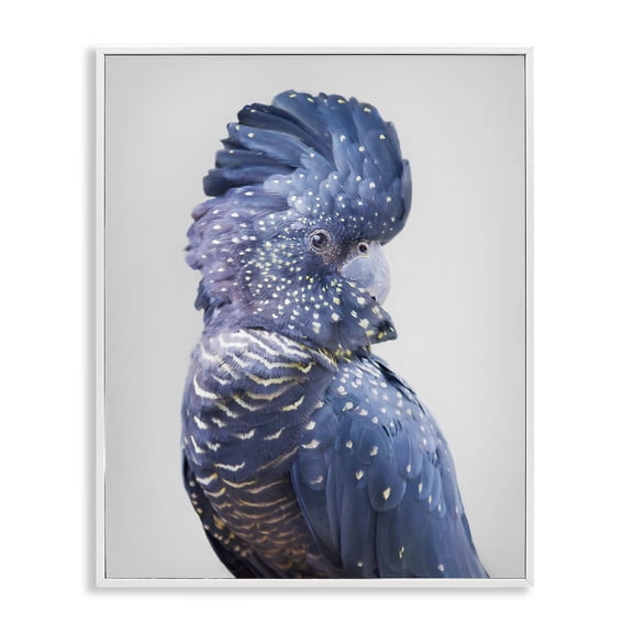 Stupell Industries Farmhouse Grey Cockatoo Portrait White Framed Giclee Art, 11 x 14, by Sisi and Seb