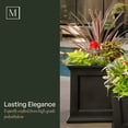 thumbnail image 4 of Mayne Fairfield 24" x 24" x 24" Square Black Self Watering Plastic Planter, 4 of 13