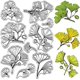 thumbnail image 1 of Sellos de goma transparentes con hojas, reutilizables, para bodas, con diseño de hojas de ginkgo, ideales para primavera y otoño. Sello de silicona transparente con diseño retro y decorativo., 1 of 9