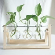 Flower or Plant Terrarium with Wooden Stand Hydroponics Decor Glass Vase Decoration-Beige-Triple