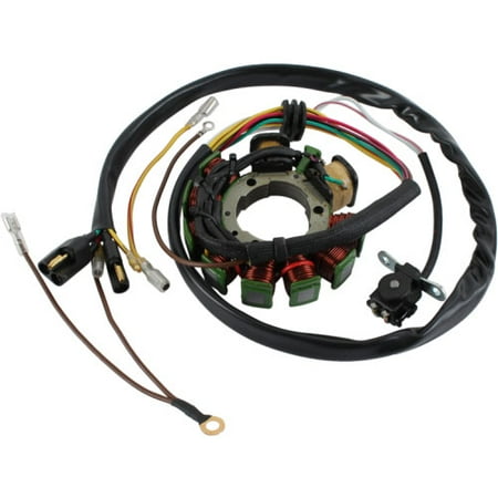 - db electrical apo4001 stator coil for polaris magnum 425 95 96 97 98 1995 1996 1997 1998, sportsman 400 01 02 2001 2002, 500 96 97 1996 1997,xplorer 1997 97,335 sportsman 1999 2000 99 00