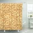 thumbnail image 1 of ABPHQTO Cortina de ducha humana quebradiza microscópica de calcio de médula ósea estructura ósea de osteoporosis 152x180 cm ABPHQTO PKNMT60x72Shower-5409, 1 of 2