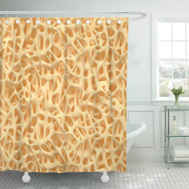 ABPHQTO Cortina de ducha humana quebradiza microscópica de calcio de médula ósea estructura ósea de osteoporosis 152x180 cm ABPHQTO PKNMT60x72Shower-5409