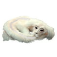 thumbnail image 2 of LINMOUA Falkor From The Neverending Story Plush Doll Toys Gift for Kids and Adluts, 2 of 7