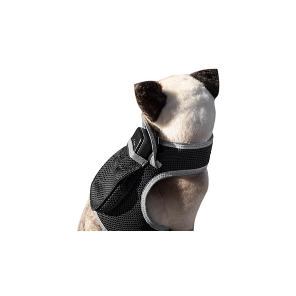 Heavy Duty GSM GPS Dog Collar Realtime Rechargeable Tracking Device w/ Phone App Size:M