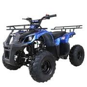 2021 New Tao Motor ATA- 1Automatic Gas All-Terrain Vehicle (ATV) With Big 16 Tires and Reverse - Midnight Black Color