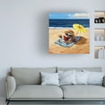 thumbnail image 2 of Canvas Wall Art - Lucia Heffernan 'Beach Chick' Wall Art for Living Room, Bedroom, or Office Décor by Trademark Fine Art - 35 x 35 Inches, 2 of 4