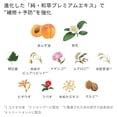 thumbnail image 3 of KRACIE ICHIKAMI Dense W Moisturizing Care Hair Care Set 480ml*2, 3 of 4