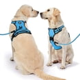 thumbnail image 2 of Arnés para perros NESTROAD, ajustable, Oxford, sin tirones, con correa, azul, 2 of 8
