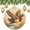 pattern-2121, variant on Ceramic Christmas Ornament Vintage Animal Anas Platyrhynchos Bird Custom 3" Ceramic 2024 Xmas Ornament Christmas Ornaments for Christmas Tree Decorations Mallard Duck Soaring Christmas Ornaments