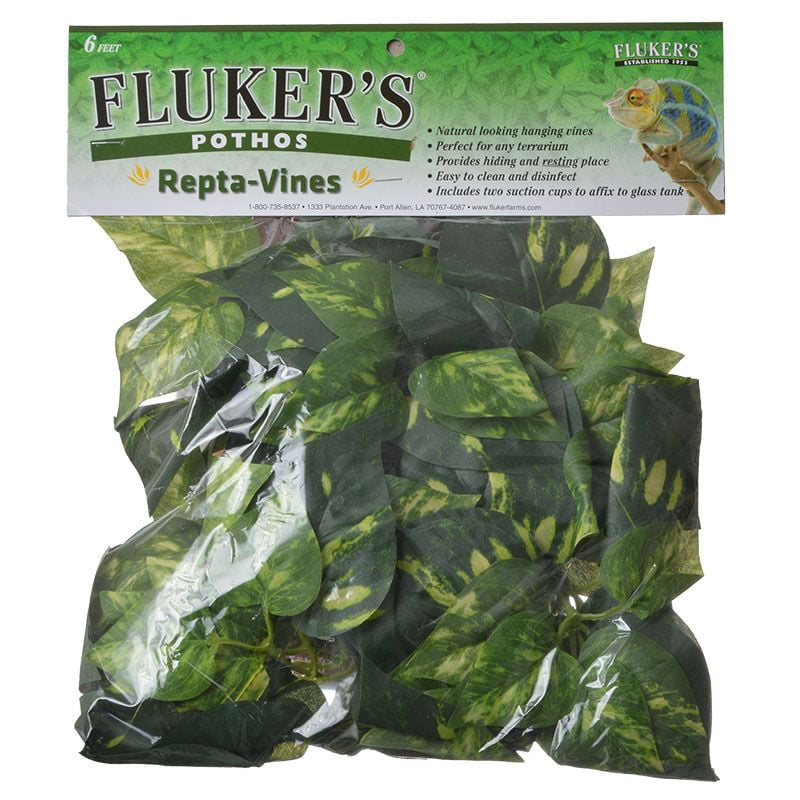 Fоur Расk Flukers Repta Vines-Purple Coleus for Reptiles and Amphibians