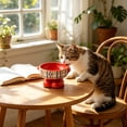 thumbnail image 6 of FEOLGEHLY Slow Feed Raised Dog Food Water Ceramic Bowl, Non Skid Cute Elevated Neck Protection Food Water Bowl for Small Dogs and Indoor Cats Household Pet Dining Bowl, 6 of 6