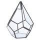 thumbnail image 2 of Alupre Forma geométrica Elegante Maceta de Cristal Planta plantador Plantas suculentas decoración envase, 2 of 9