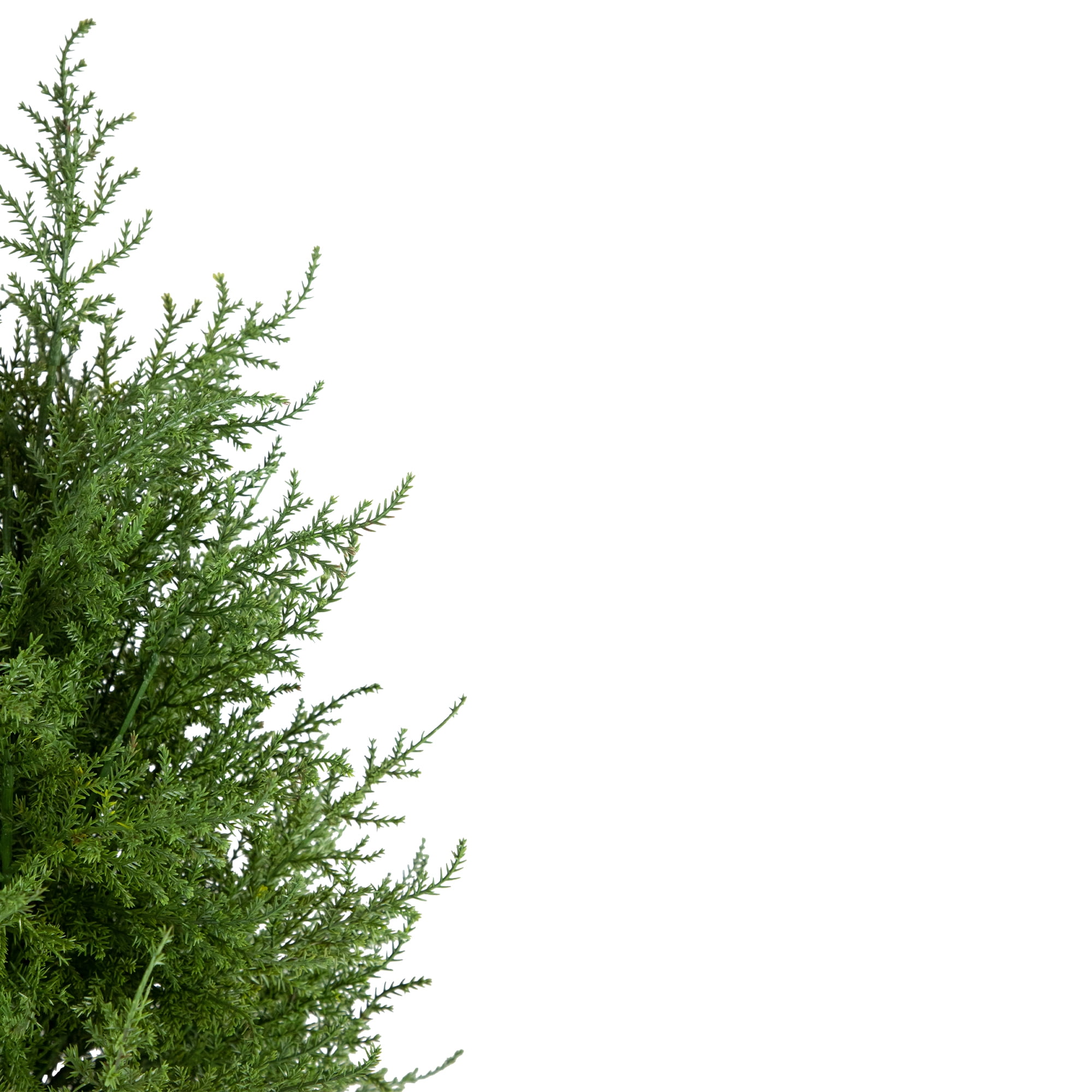 2' Artificial Cedar Pine Petite Arborvitae Tree in Round Pot  Unlit - 12