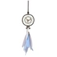 thumbnail image 1 of xinxixnxx Feathers Car Pendant Individuality On Go Durable And Practical MS9191 1Set, 1 of 6