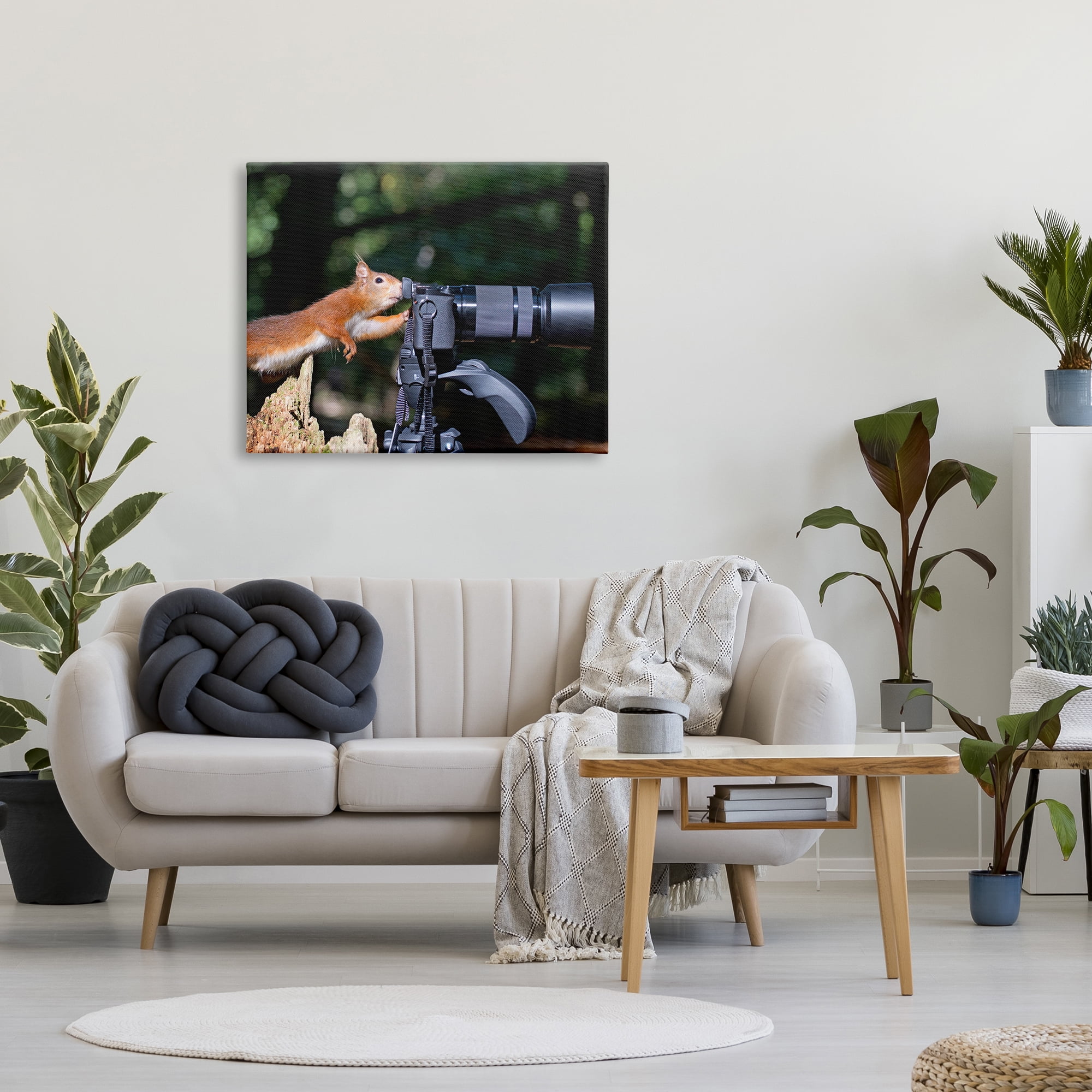 Stupell Industries Funny Squirrel Photographer Animals & Insects Photography Gallery Wrapped Canvas Art Print Wall Art, 40 x 30