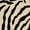 Ivory, variant on Unique Loom Wildlife Collection Area Rug - Zebra (7' 10" Round Ivory/Black)