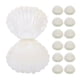 thumbnail image 1 of 24 cajas de plástico con forma de concha perlada para dulces, recuerdos de boda, joyas, decoraciones para fiestas con temática oceánica, 1 of 8