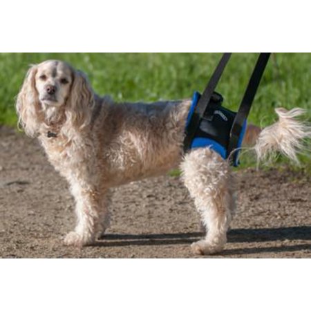 UPC: 0726667227429 | The Original Walkabout Back End Harness