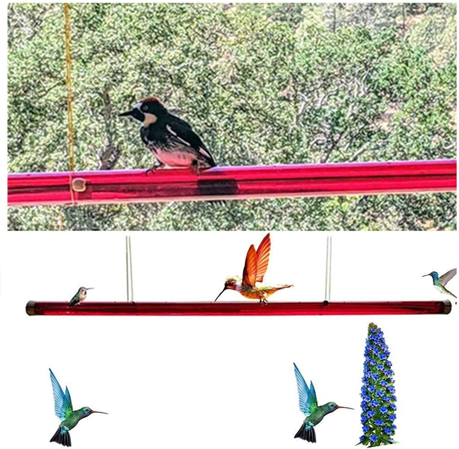 Bob's Best Hummingbird Feeder, Best Hummingbird Feeder with Hole, Birds