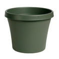 thumbnail image 1 of BLOEM TERRAPOT LIV Vert 10 Pouces, 1 of 4