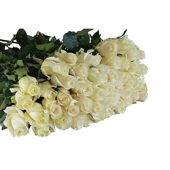 KaBloom :100 White Roses, Next-Day Delivery, Gift for Every Occasion.