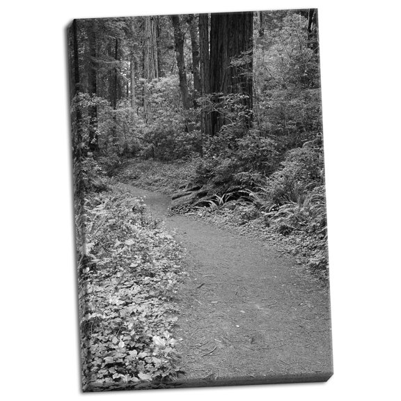 Gango Home Decor Redwood Path I by Vitaly Geyman (Ready to Hang); One 24x36in Hand-Stretched Canvas