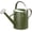 Emerald Green, variant on Zinc 1 Gallon Galvanized Steel Watering Can for Garden, Metal Water Pot with Stainless Steel Handgrip & Removable Spout, For Patio, Indoor and Outdoor Plants