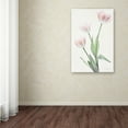 thumbnail image 3 of Trademark Fine Art 'Light and Bright Floral I' Canvas Art by Elizabeth Urquhart, 3 of 3