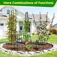 thumbnail image 4 of Garden Trellis for Climbing Plants Outdoor, 65inch Tall Rustproof Black Metal Obelisk Trellis Support for Potted Vines Vegetable Plants Indoor Outdoor, Antislip, Easy to Install 1PC, 4 of 9