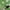 Fresh Green, variant on Gaming Mouse Pad, EEEkit Large Mousepad Rubber Base Desk Mat with Stitched Edges, 31.5x11.8in