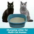 Arm & Hammer Cloud Control MultiCat Clumping Cat Litter with