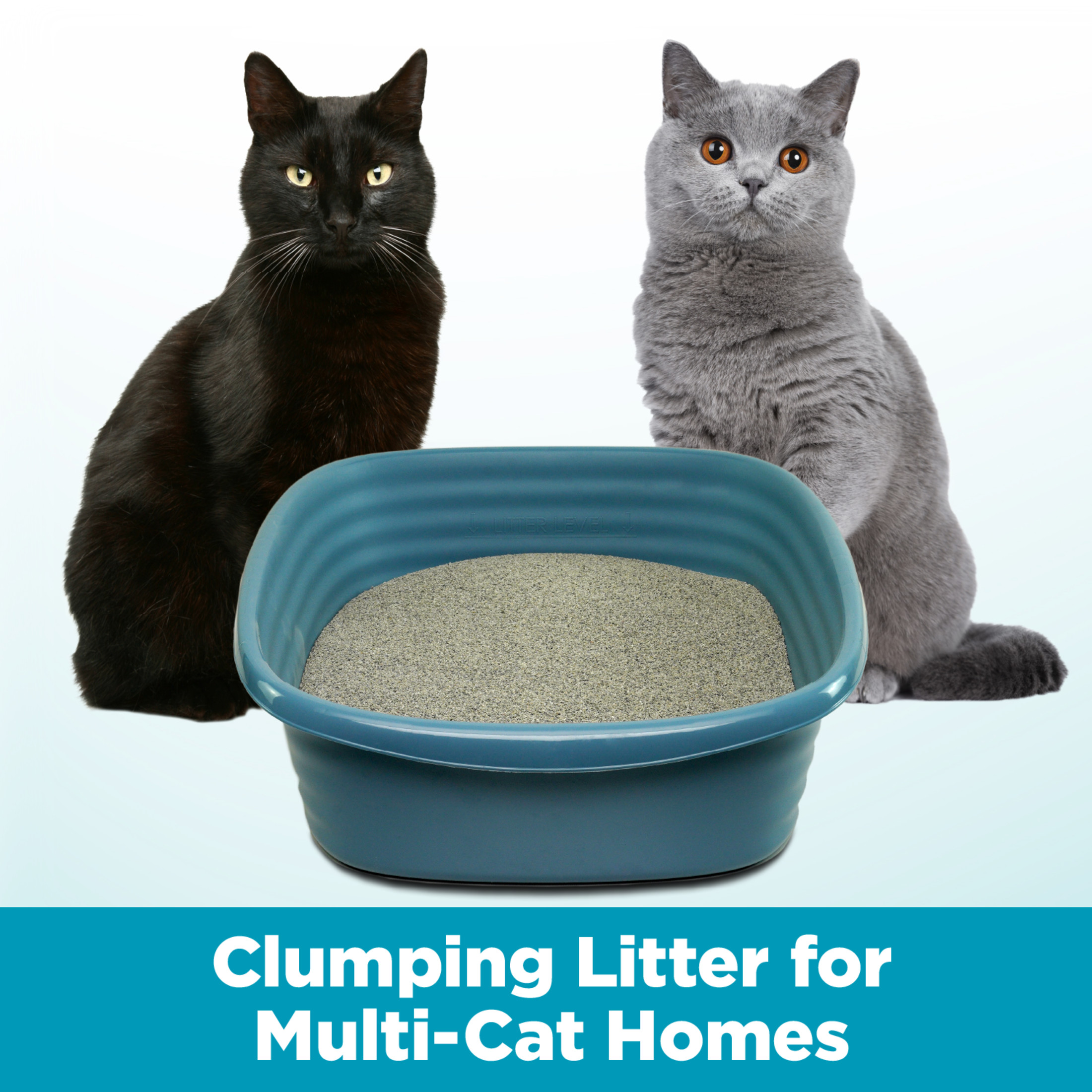ARM & HAMMER Cloud Control Multi-Cat Clumping Litter photo 6
