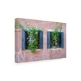 thumbnail image 2 of Laura DeNardo 'Italian Window Flowers II' Canvas Art, 2 of 3