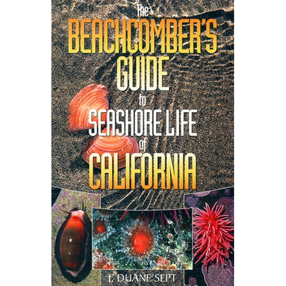 Pre-Owned The Beachcomber's Guide to Seashore Life of California (Paperback) 1550172514 9781550172515