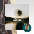 thumbnail image 3 of Homedics SereneScent Vanilla Cedarwood Home Fragrance Oil, 15 ml, for use with Homedics Serene Scent Mini Waterless Diffuser (ARMH-680), Clean & Natural Everyday Collection, 3 of 6
