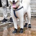 thumbnail image 3 of Pet Dog Snow Boots Waterproof Protection Rain Shoes Wellies Booties, 3 of 3
