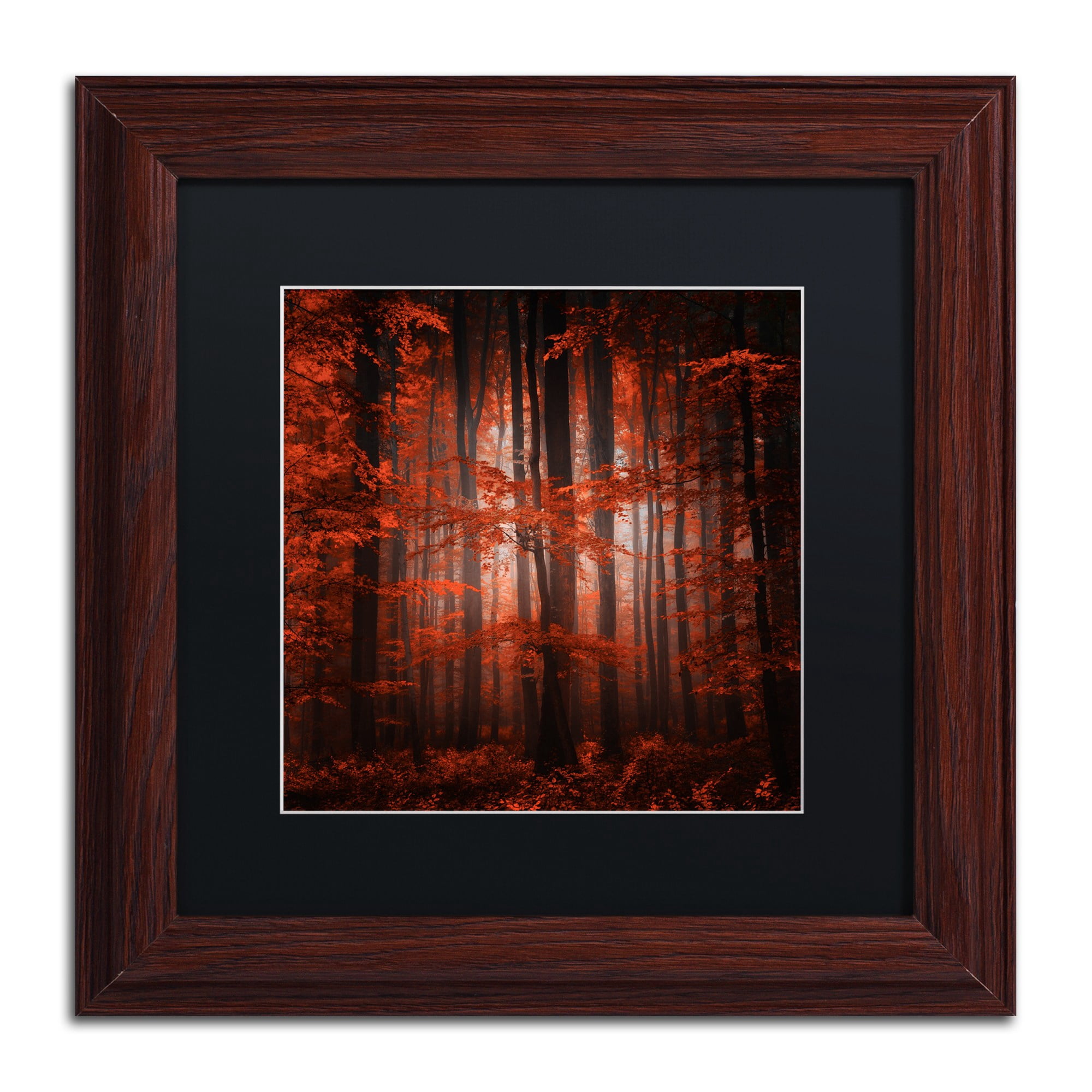 "Red Parallel Universe" Canvas Art by Philippe Sainte-Laudy Black Matte, Wood Frame