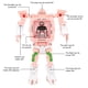 thumbnail image 3 of Reloj robot deformado para niños, juguetes, reloj electrónico digital para niños y niñas, regalo de Navidad, 3 of 9
