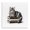 Glam Cat Crown_v1, variant on Stupell Industries Eclectic Lovely Cat in Shopping Bag Black Floating Frame Canvas Art, 18 x 18, by Amanda Greenwood