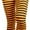 Black/Orange, variant on Women's Nylon Horizontal Striped Opaque Tights - Black/Purple - One Size Plus 3X/4X